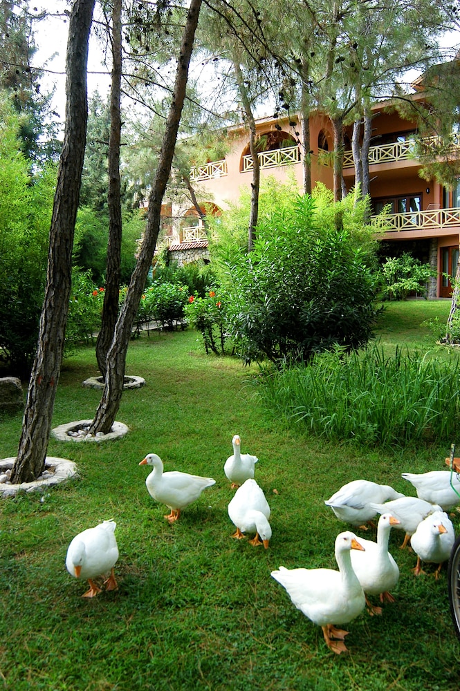 Martı Myra - All Inclusive — Hotel building in Kemer