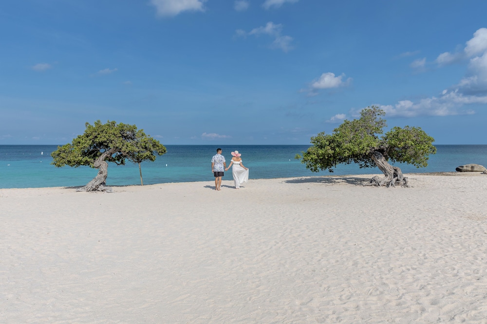 Amsterdam Manor Beach Resort — Beach in Noord, Aruba