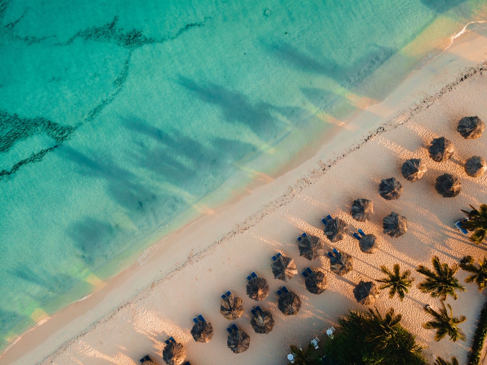 Amsterdam Manor Beach Resort — Beach in Noord, Aruba