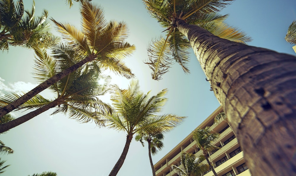 Barceló Aruba - All Inclusive — Hotel building in Noord, Aruba