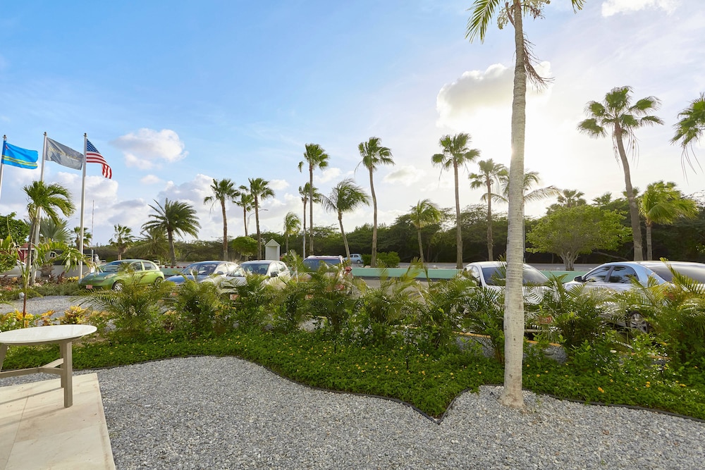 Courtyard by Marriott Aruba Resort — Attractions in the area in Noord, Aruba