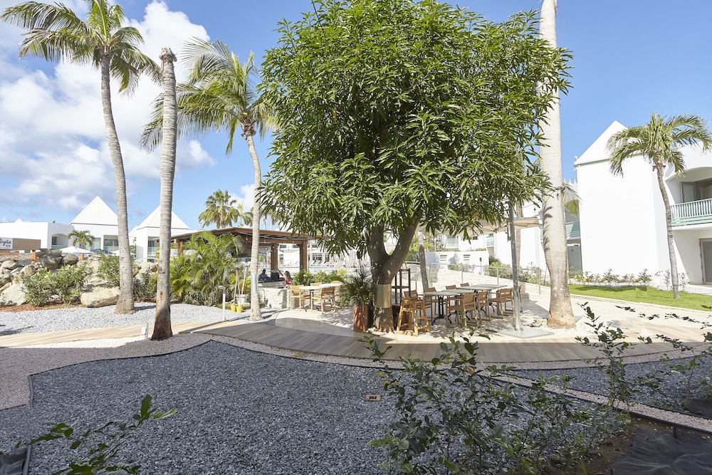 Courtyard by Marriott Aruba Resort — Restaurant & bars in Noord, Aruba