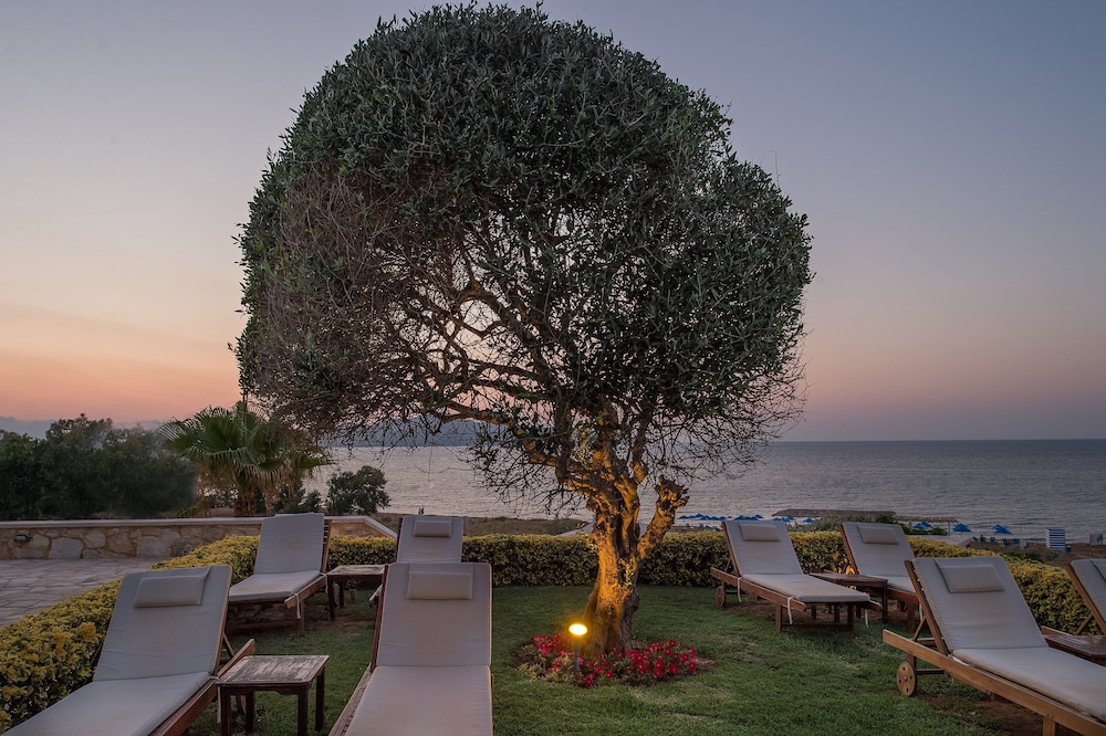 Cretan Dream Resort and Spa — Beach in Chania