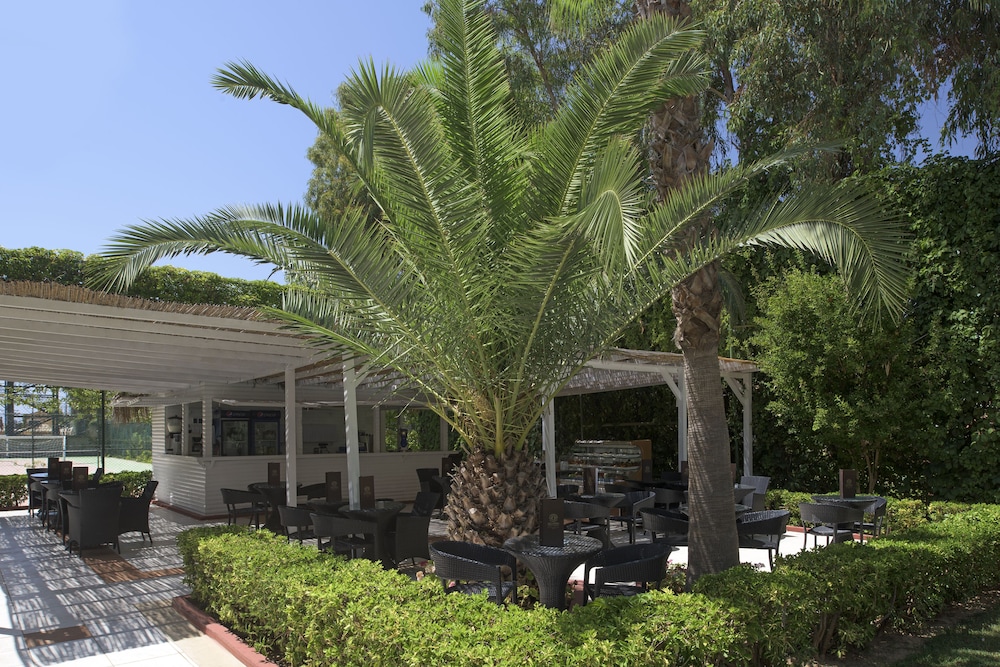 Delphin Deluxe Resort Hotel - All Inclusive — Restaurant & bars in Okurcalar