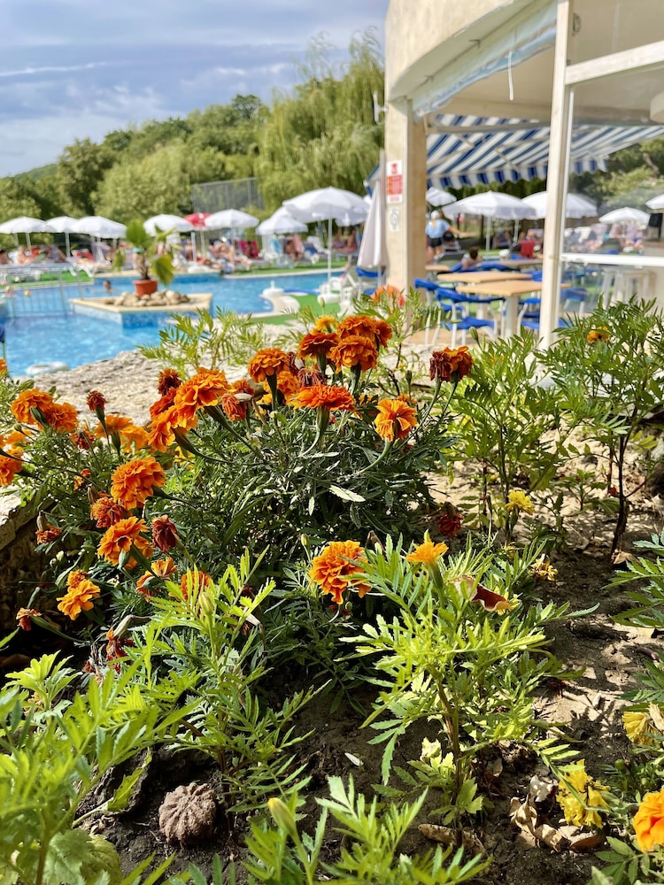 BSA Hotel Holiday Park — Swimming pool in Golden Sands, Varna Region