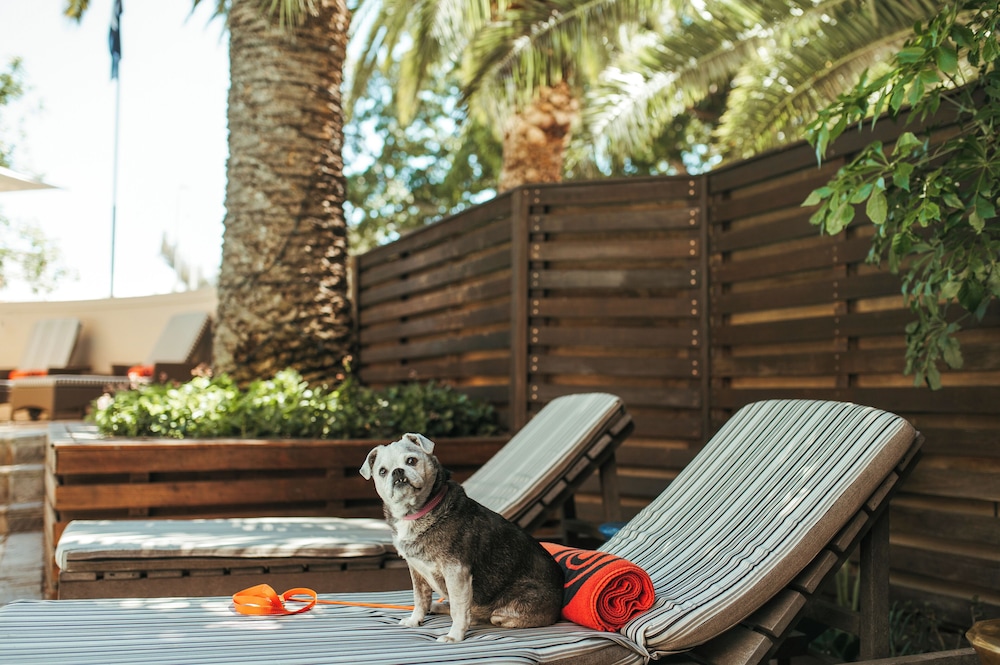 Sunsquare Cape Town Gardens — Swimming pool in Cape Town, Western Cape