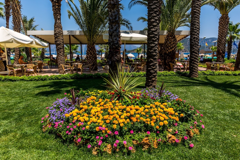 Hotel Aqua - All Inclusive — Restaurant & bars in İçmeler, Mugla