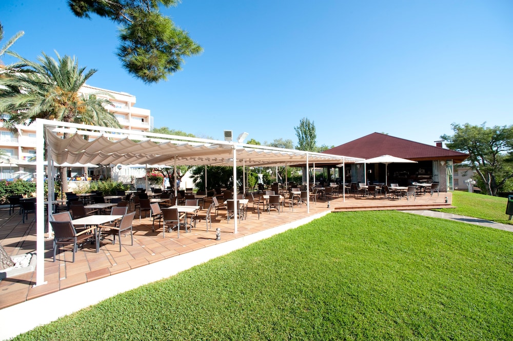 Grupotel Gran Vista & SPA — Restaurant & bars in Can Picafort, Balearic Islands