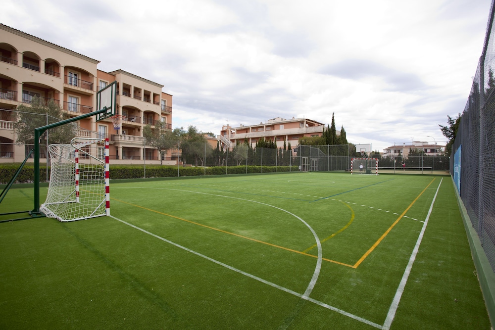 Grupotel Gran Vista & SPA — Sports & recreation in Can Picafort, Balearic Islands
