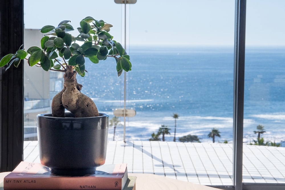 President Hotel — Beach in Cape Town, Western Cape