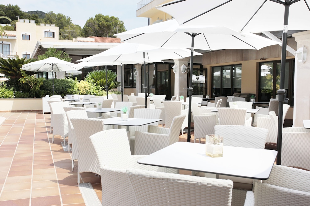 Grupotel Nilo & Spa — Restaurant & bars in Peguera, Balearic Islands