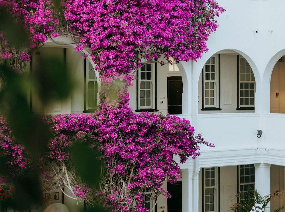 The Winchester Hotel by NEWMARK — Hotel building in Cape Town, Western Cape