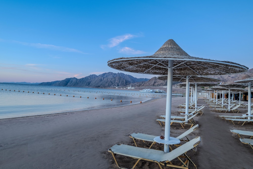 JAZ Dahabeya — Beach in Dahab, Red Sea