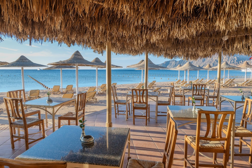 JAZ Dahabeya — Restaurant & bars in Dahab, Red Sea