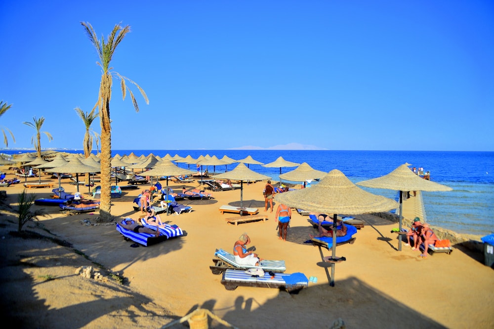 IL Mercato Splash Aqua Park — Beach in Sharm El Sheikh, Red Sea