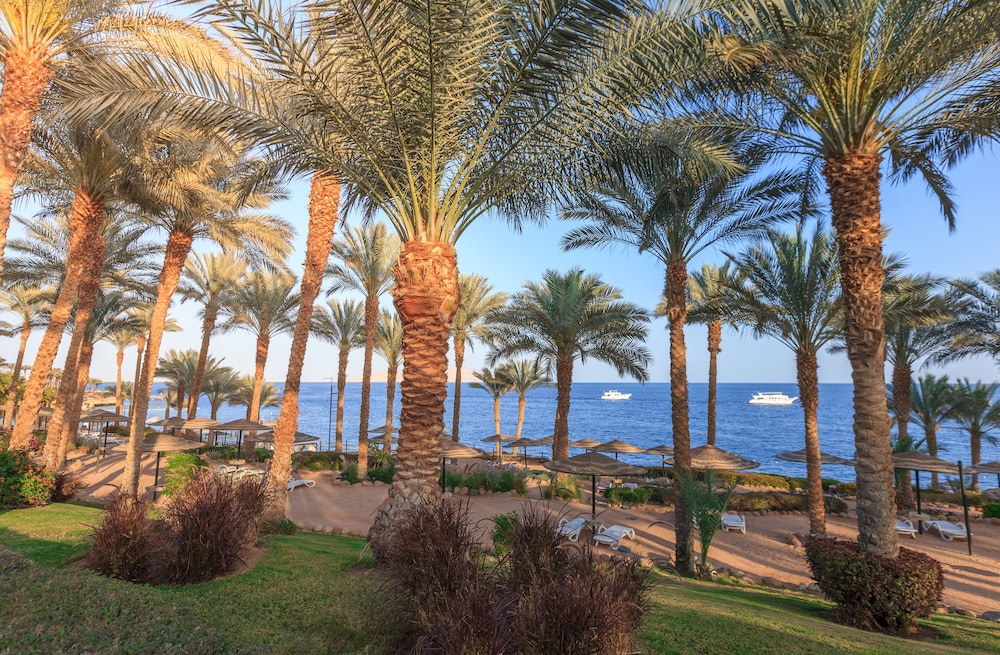 Grand Rotana Resort & Spa — Beach in Sharm El Sheikh, Red Sea