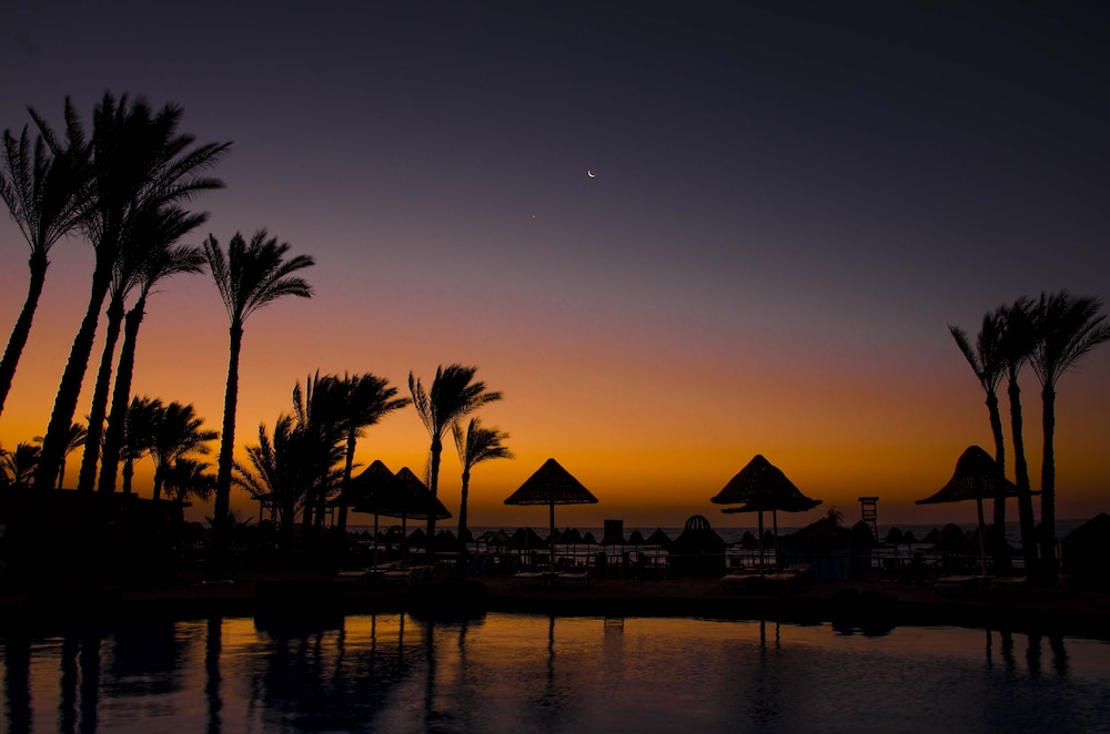 Parrotel Beach Resort — Beach in Sharm El Sheikh, Red Sea