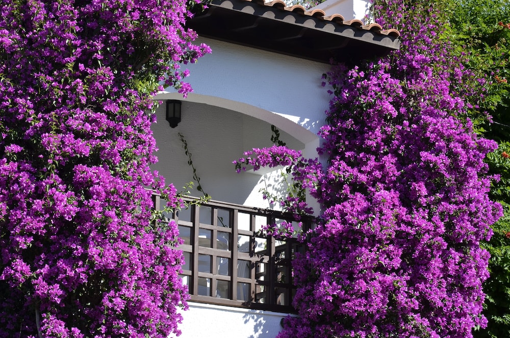 Emelda Sun Club - Ultra All Inclusive — Hotel building in Kemer