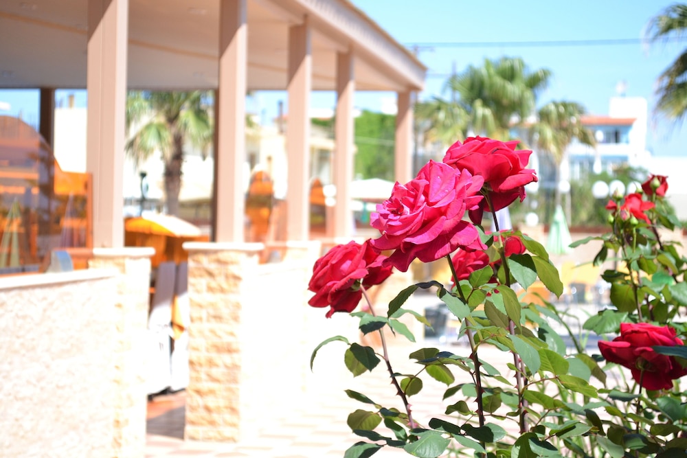 Hotel Palladion by Anayia All Inclusive Resorts — Hotel building in Rethymnon
