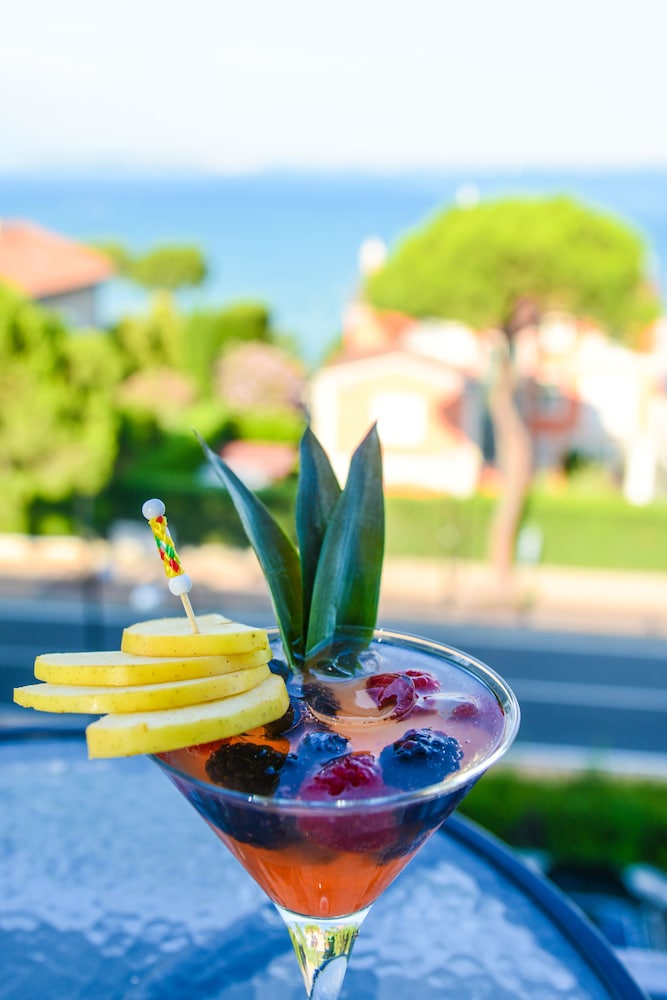 Hotel Oliveto — Restaurant & bars in Desenzano del Garda, Lombardy