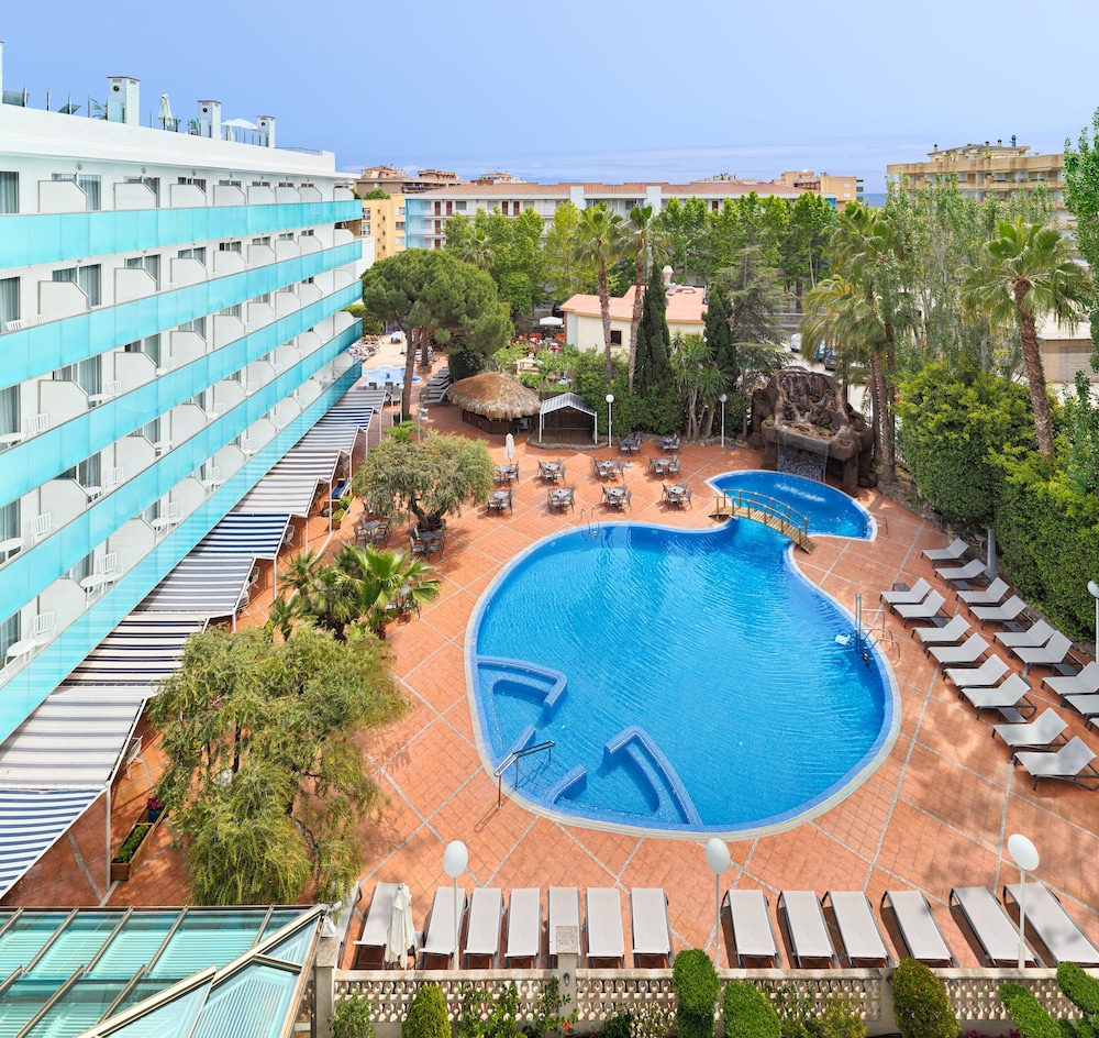 H10 Delfín - Adults Only