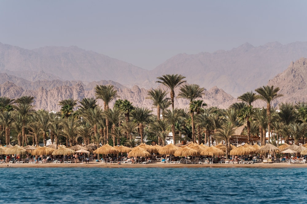 JAZ Sharm Dreams — Beach in Sharm El Sheikh, Red Sea