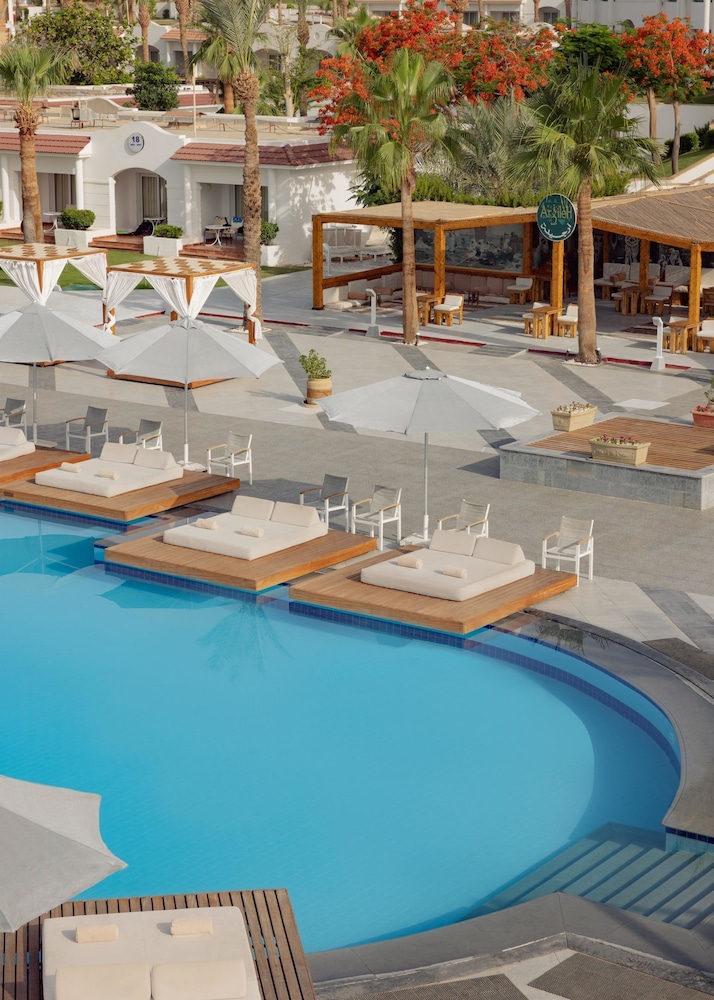 JAZ Sharm Dreams — Swimming pool in Sharm El Sheikh, Red Sea