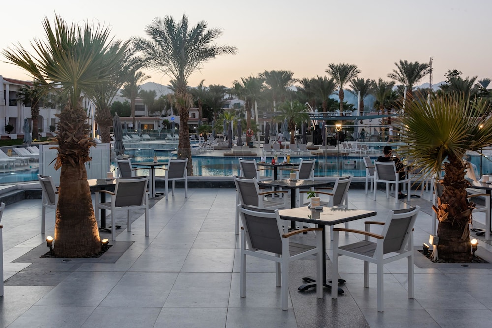 JAZ Sharm Dreams — Restaurant & bars in Sharm El Sheikh, Red Sea