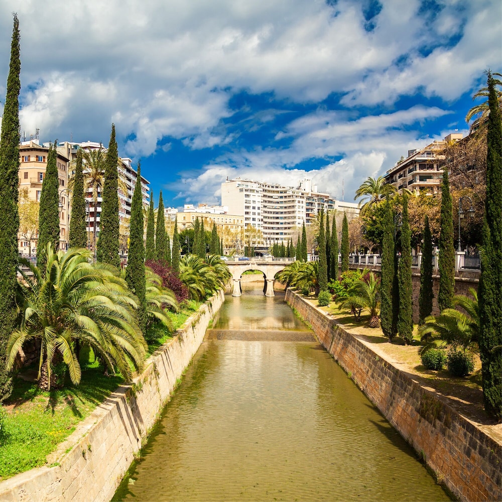 Hotel Saratoga — Attractions in the area in Palma de Mallorca, Balearic Islands