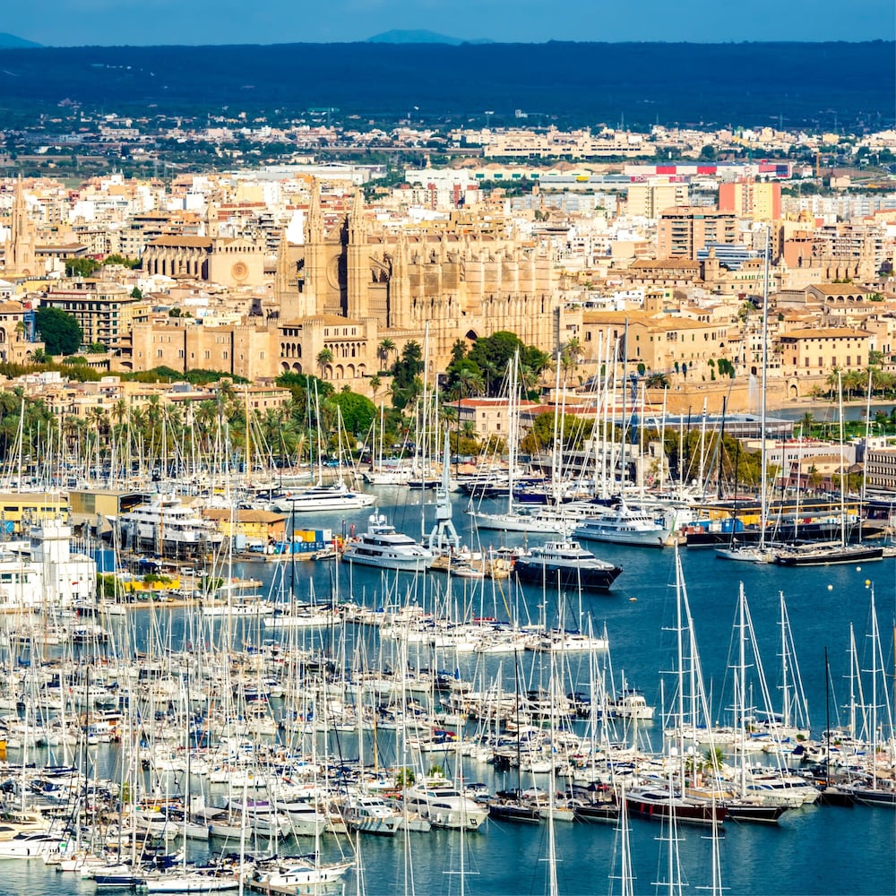 Hotel Saratoga — Attractions in the area in Palma de Mallorca, Balearic Islands