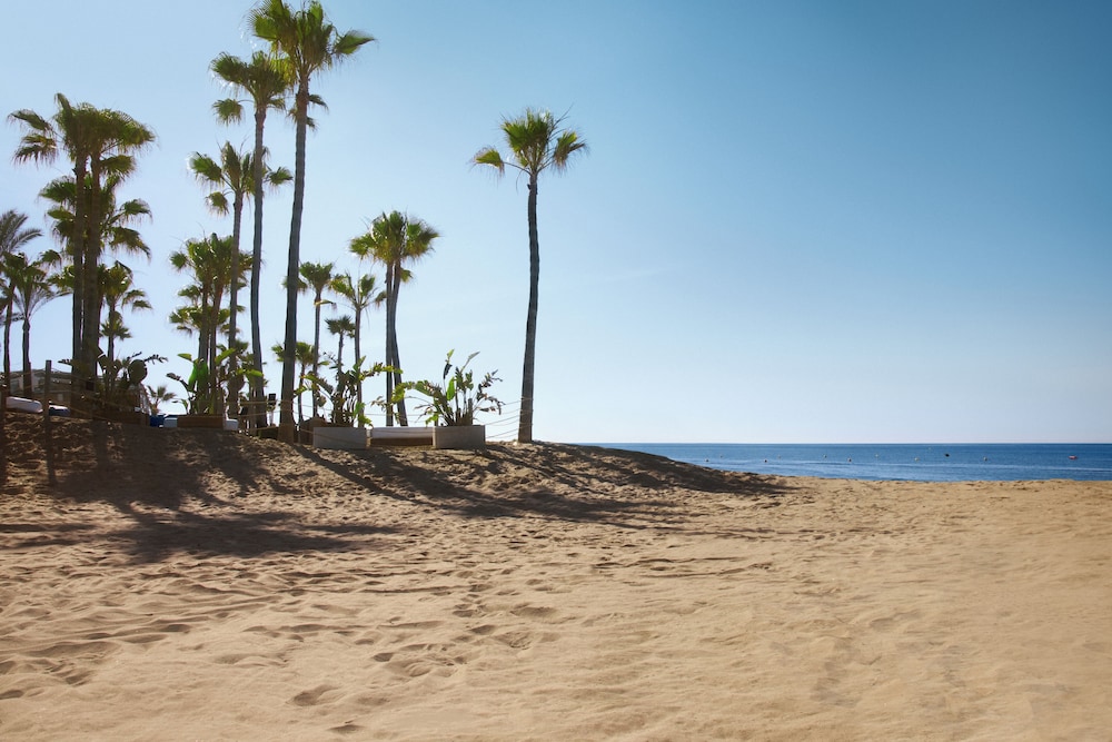 Don Carlos Marbella — Beach in Marbella, Andalusia