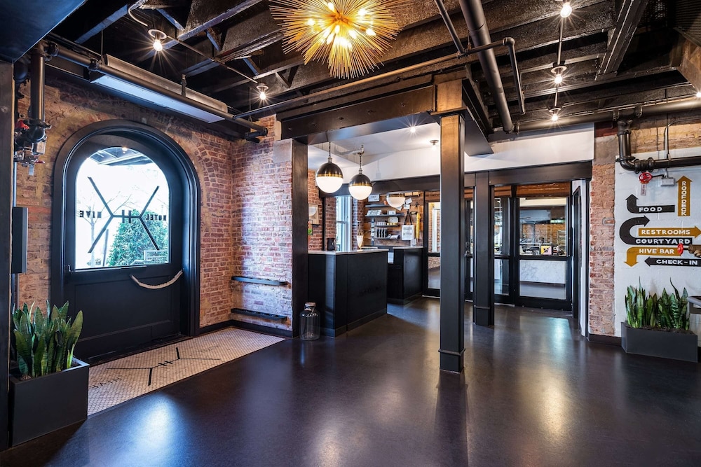 Hotel Hive — Restaurant & bars in Washington, District of Columbia