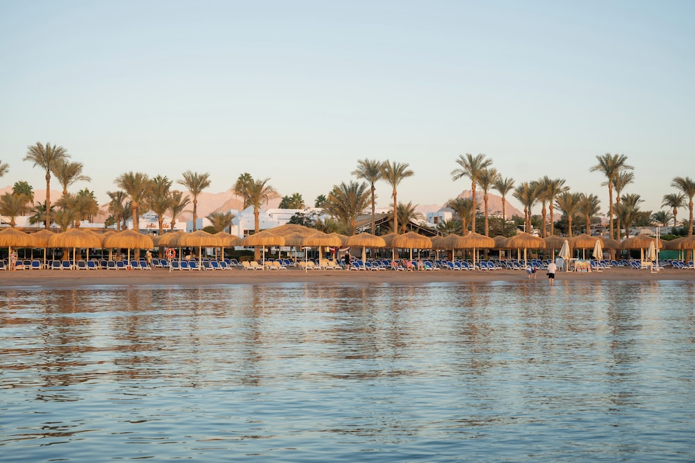 Jolie Ville Resort & Casino Sharm El Sheikh — Attractions in the area in Sharm El Sheikh, Red Sea