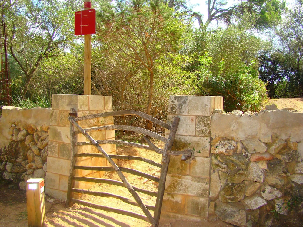 Apartamentos Son Bou Gardens — Attractions in the area in Son Bou, Balearic Islands