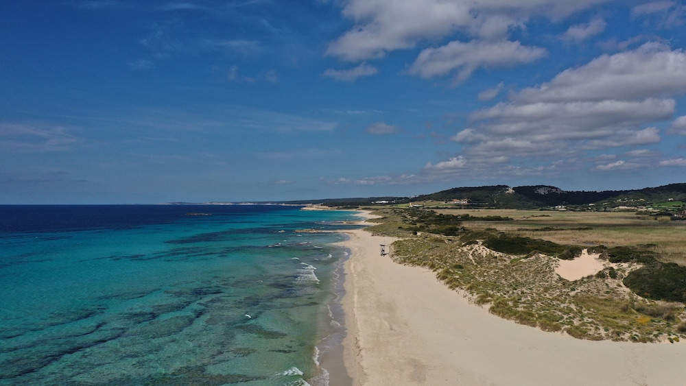 Apartamentos Son Bou Gardens — Beach in Son Bou, Balearic Islands
