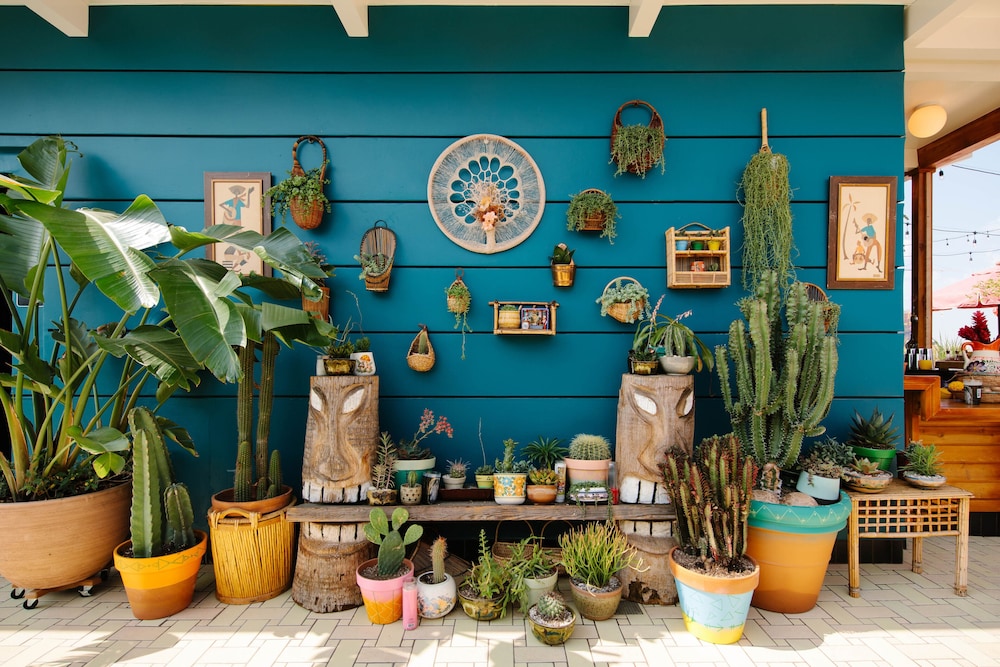 Freehand Los Angeles — Beach in Los Angeles, California