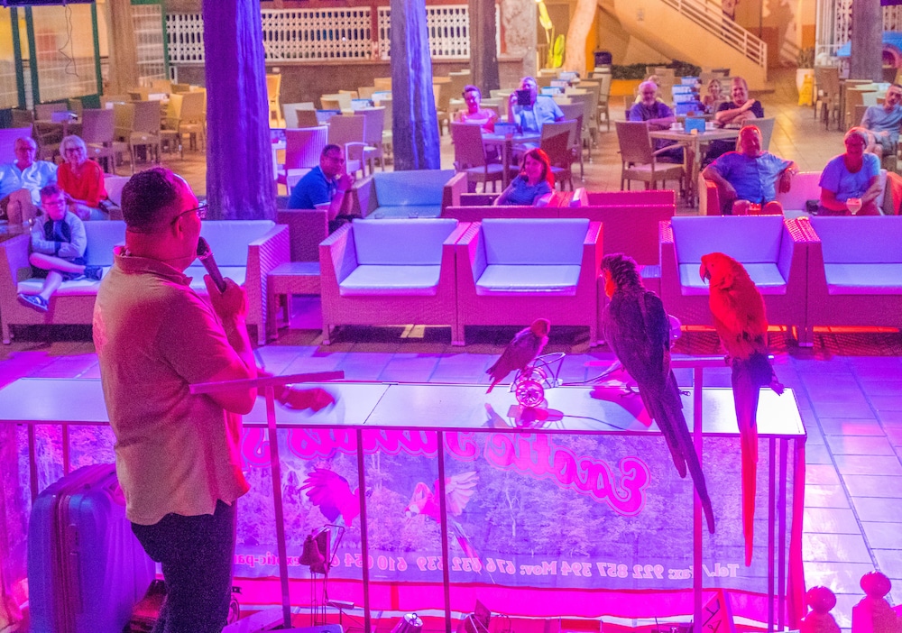 Checkin Bungalows Atlantida — Restaurant & bars in Los Cristianos, Canary Islands