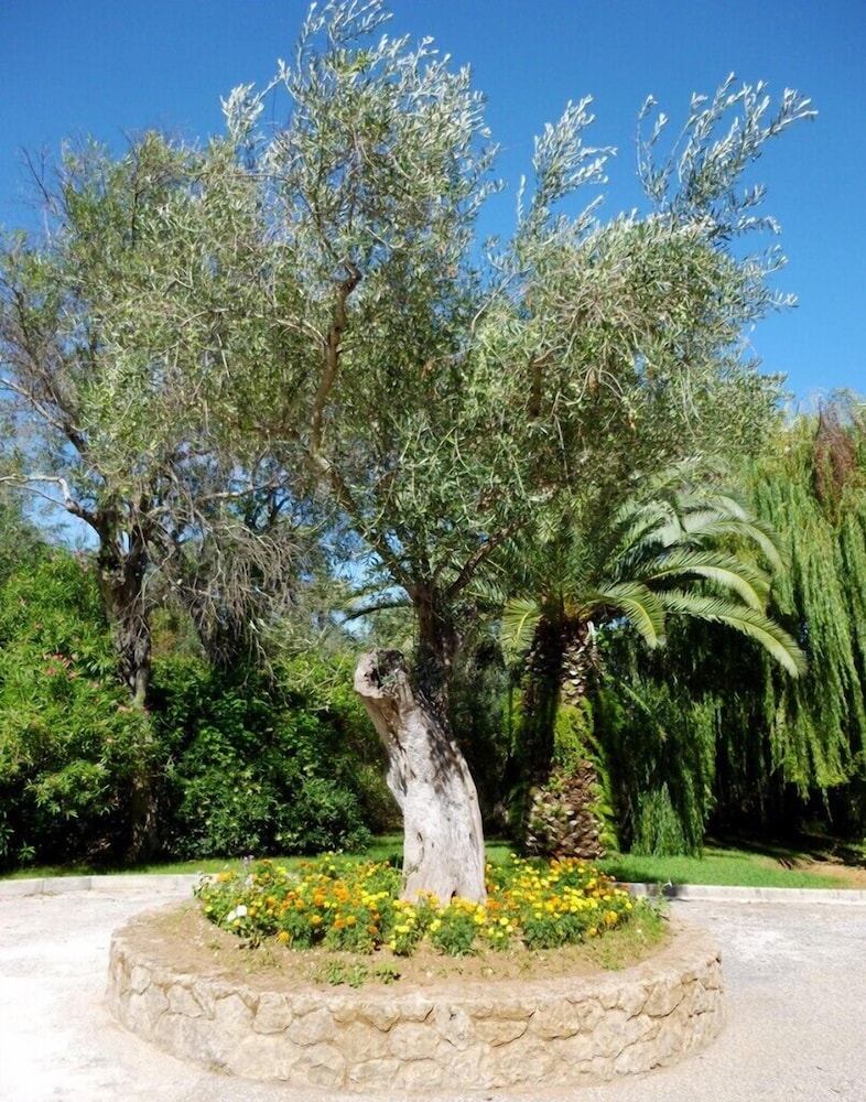 Delfinia Hotel — Attractions in the area in Moraitika, Ionian Islands