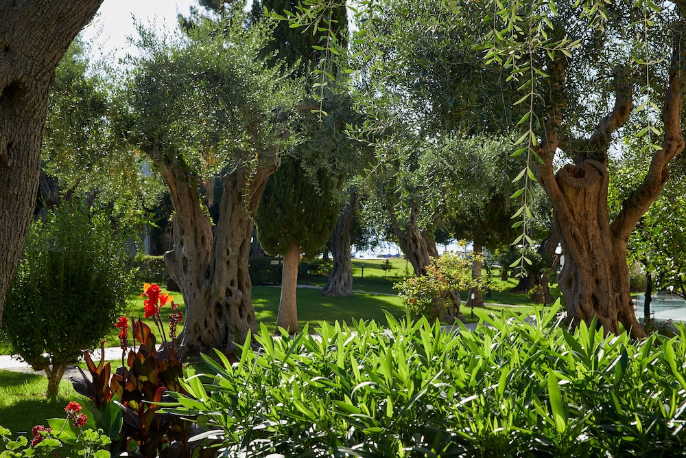 Delfinia Hotel — Hotel building in Moraitika, Ionian Islands