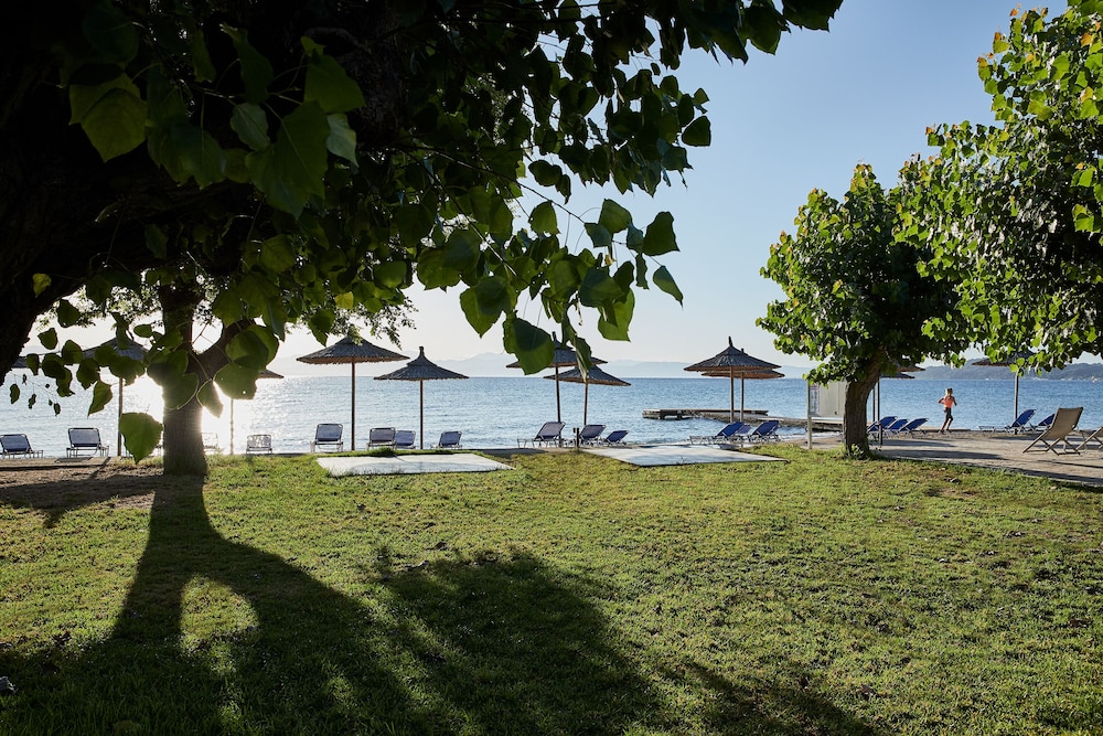 Delfinia Hotel — Beach in Moraitika, Ionian Islands