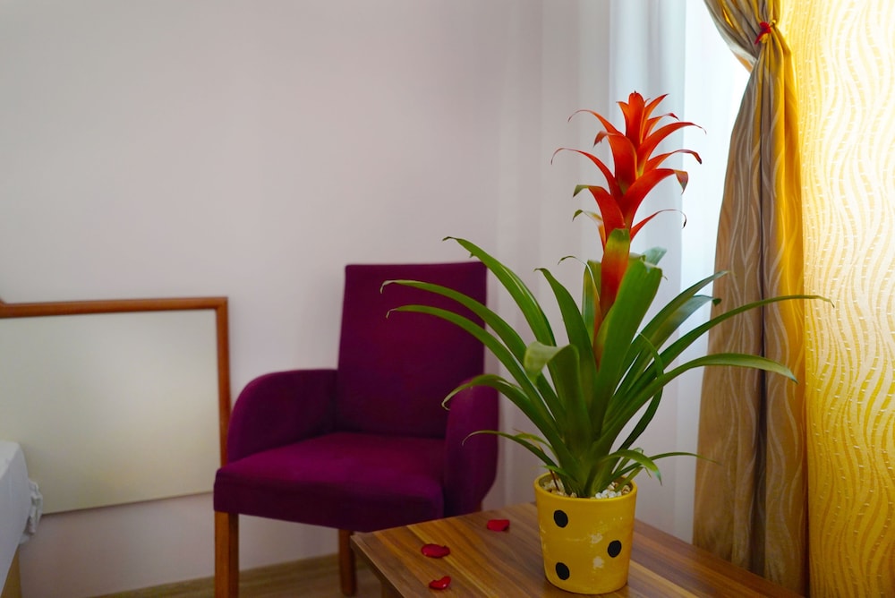Ergun Hotel — Hotel rooms in Alanya