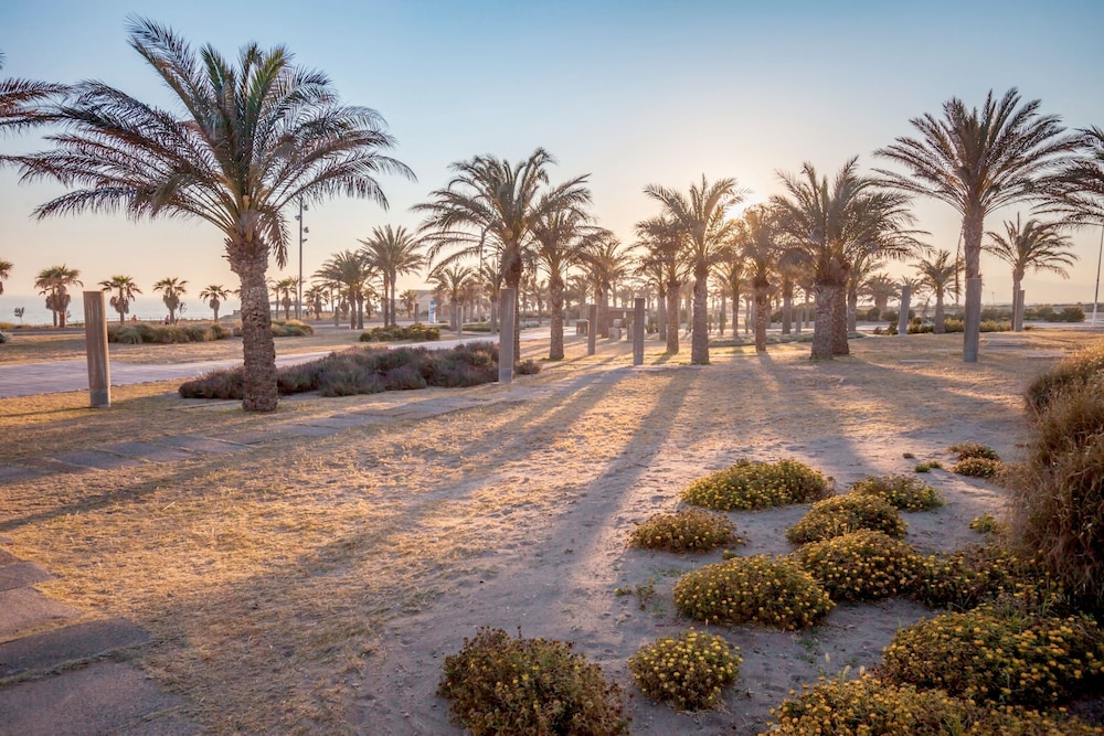 Barceló Cabo de Gata — Beach in Almeria, Andalusia