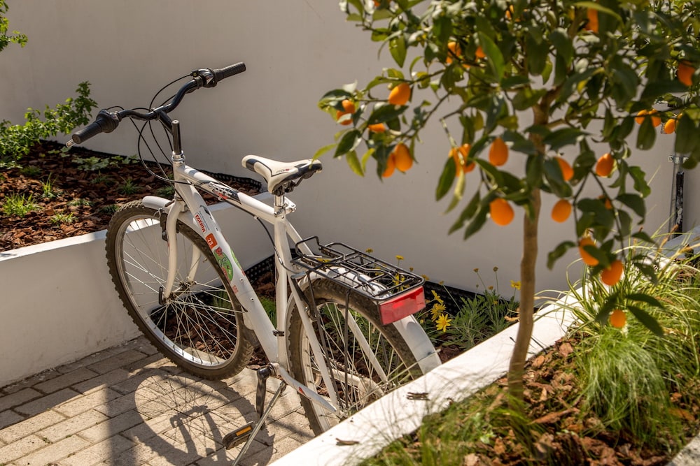 Urban Garden Hotel — Sports & recreation in Rome, Lazio