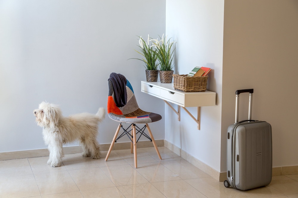 Urban Garden Hotel — Hotel rooms in Rome, Lazio