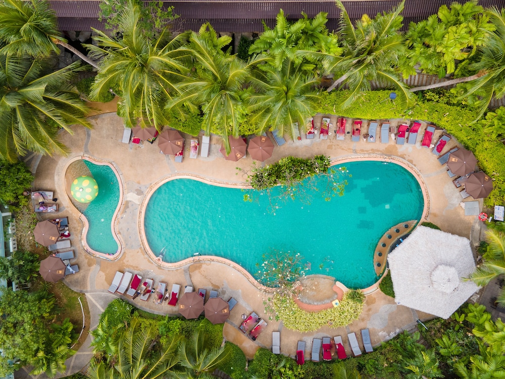 Kata Palm Resort — Swimming pool in Karon, Phuket Province