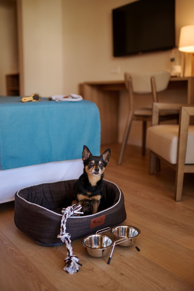 AluaSoul Menorca Hotel - Adults Only — Hotel rooms in S'Algar, Balearic Islands