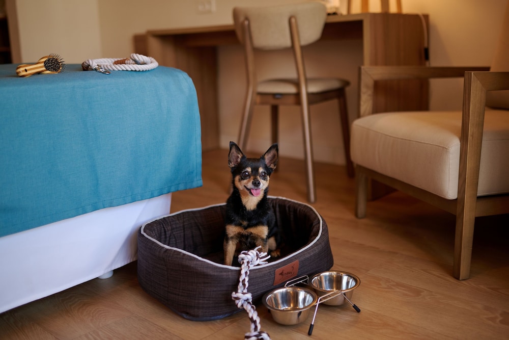 AluaSoul Menorca Hotel - Adults Only — Hotel rooms in S'Algar, Balearic Islands