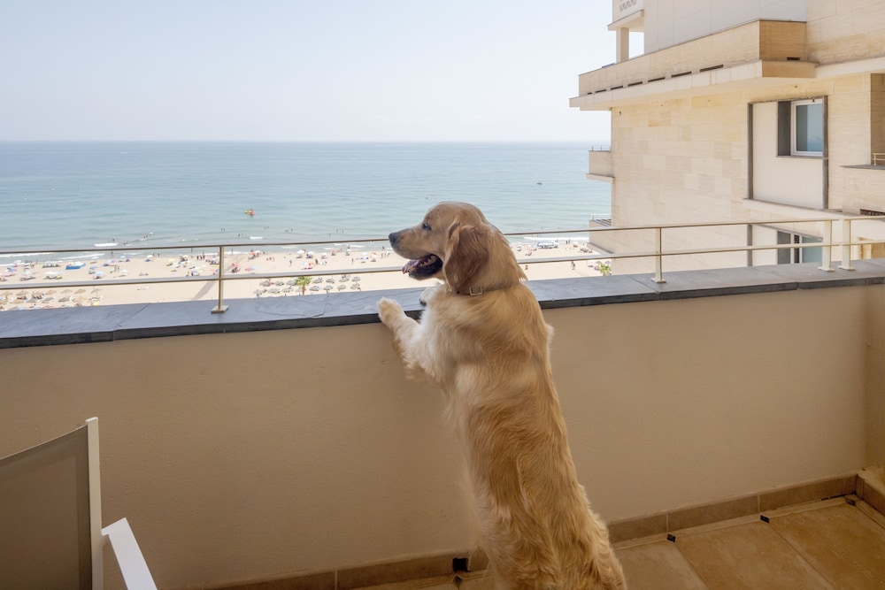 Hotel ILUNION Fuengirola — Beach in Fuengirola, Andalusia