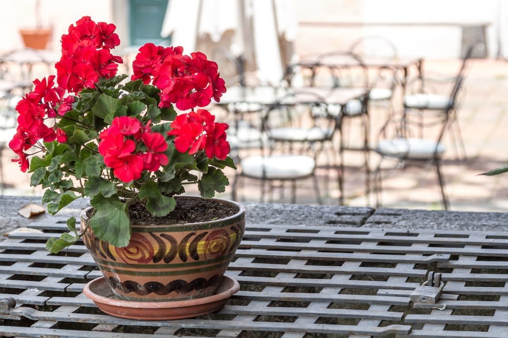 Hotel Etna — Restaurant in Giarre, Sicily