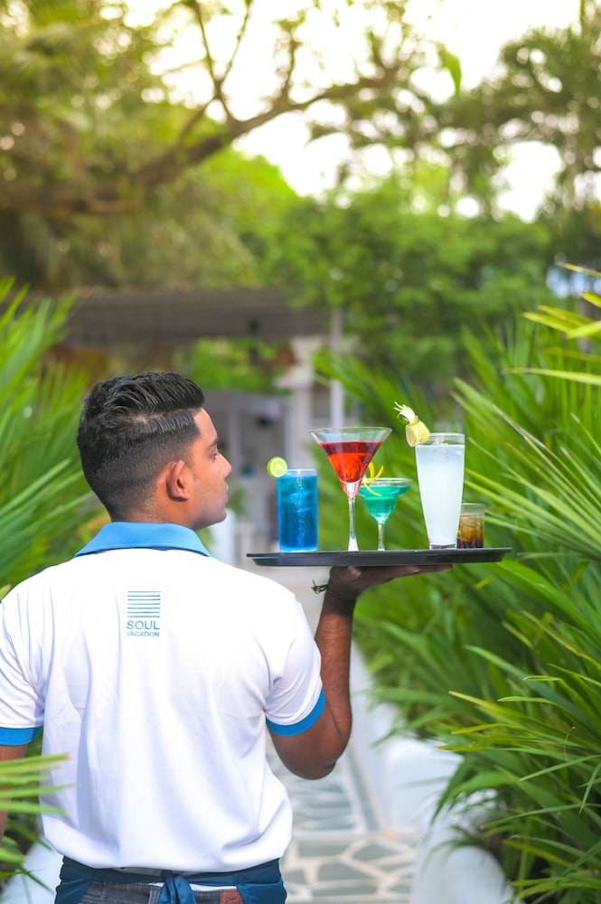 Soul Vacation Resort and Spa, Colva — Restaurant & bars in Colva, Goa